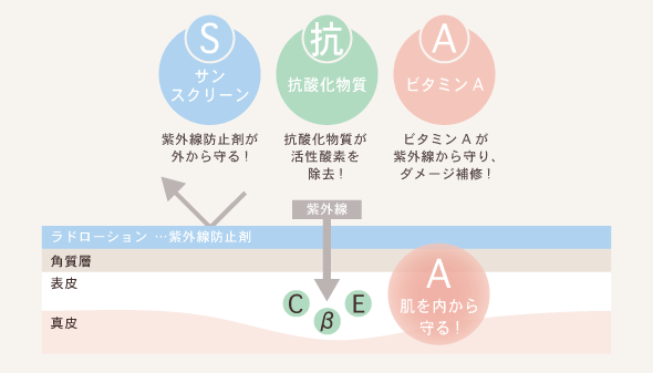 紫外線からお肌を守るためにビタミンが必要