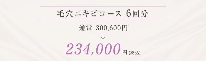 毛穴ニキビコース 234,000円（税込）