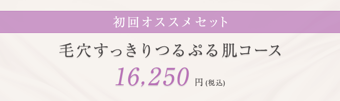 初回オススメセット 毛穴すっきりつるぷる肌コース 16,250円（税込）