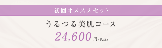 初回オススメセット うるつる美肌コース 24,600円（税込）