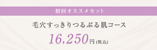 初回オススメセット 毛穴すっきりつるぷる肌コース 16,250円（税込）