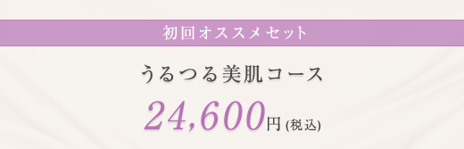 初回オススメセット うるつる美肌コース 24,600円（税込）